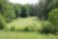 hole 18.jpg